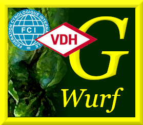Logo G VDH